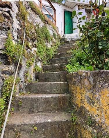 Relaxing House By The Beach - Casa Rosa Horta  Dış mekan fotoğraf